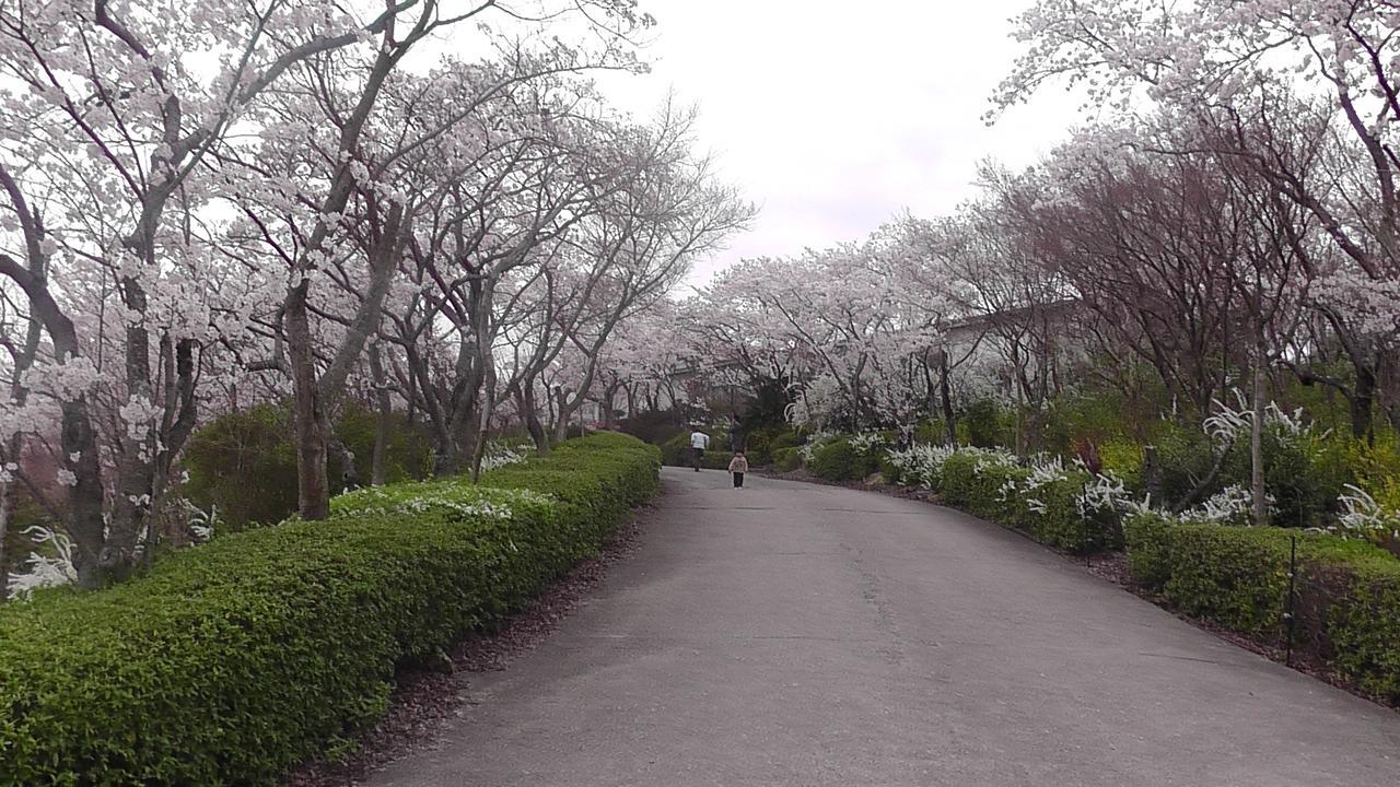 Nikkoen Hotel Nishiwaki ภายนอก รูปภาพ