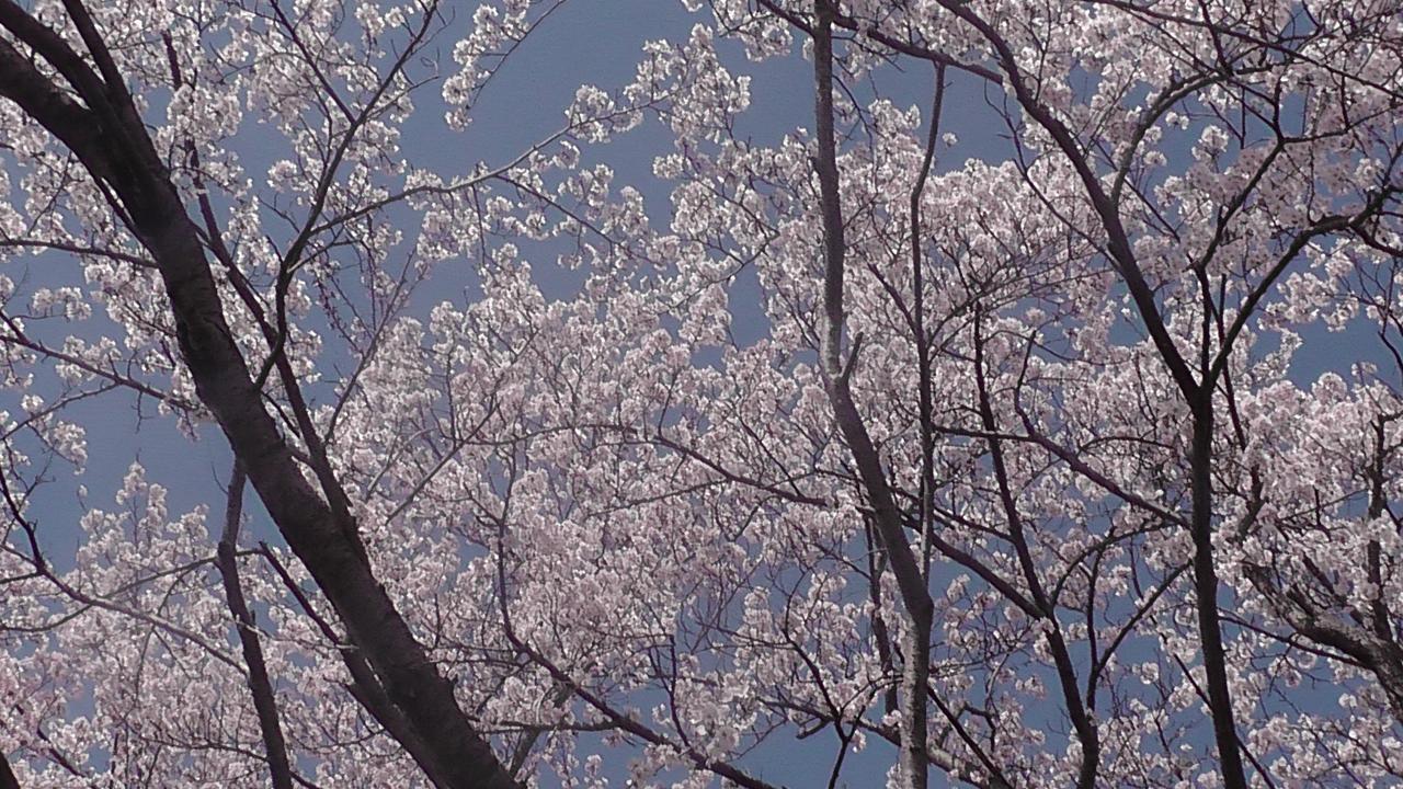 Nikkoen Hotel Nishiwaki ภายนอก รูปภาพ